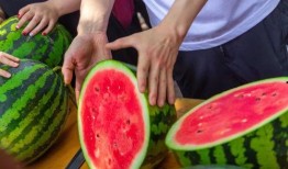 吃瓜学校全集免费看