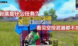 吃鸡爆料侠客视频大全最新,揭秘热门游戏幕后故事与精彩瞬间